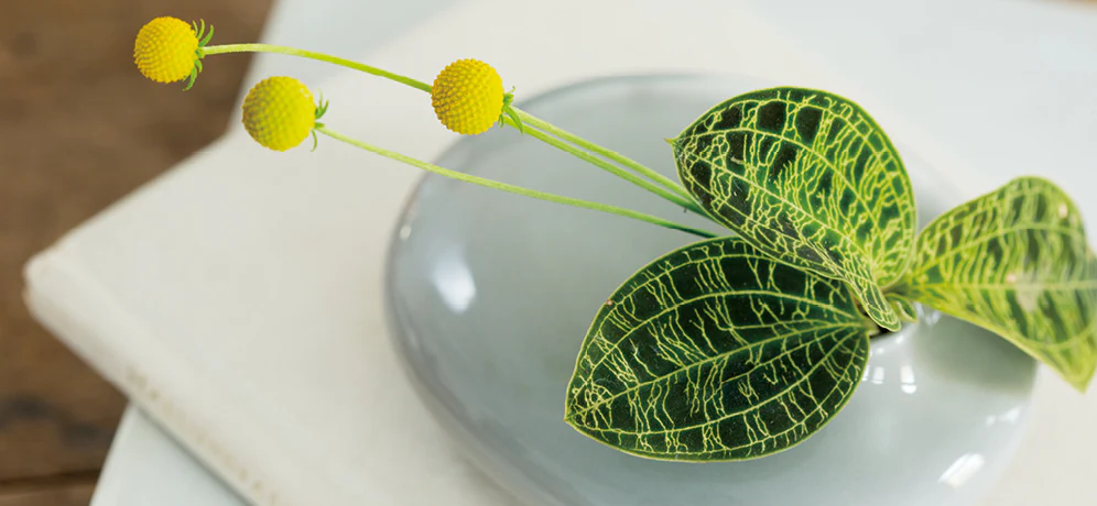 SACCO vase porcelain 02 - Image 9